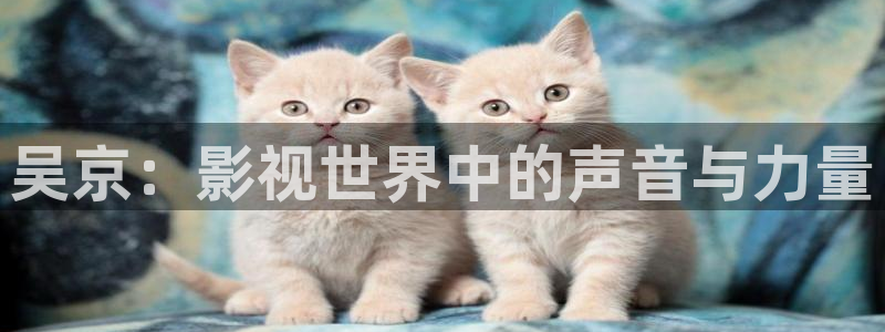 心有千千结电视剧全集人人影院