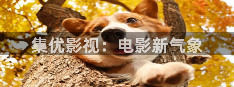 人人影院播放器