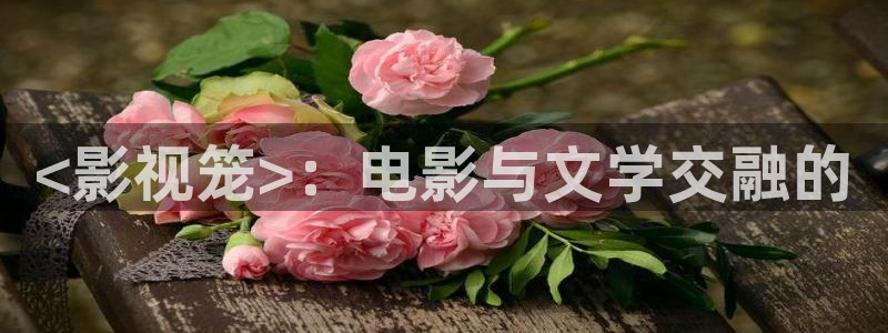 人人影院在线观看免费播放电视剧