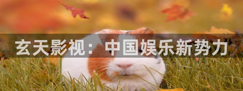 人人影院影院