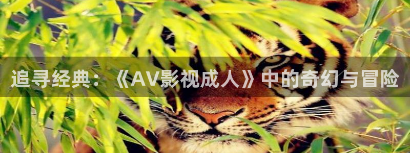 人人影片