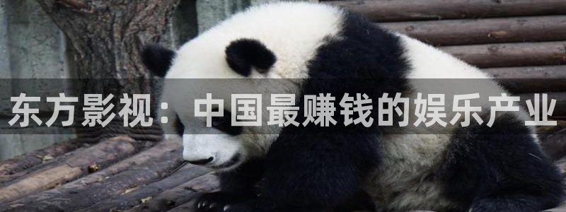 人人视频app