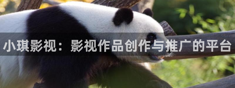 人人影院免费观看电视剧全集：小琪影视：影视作品创作与推广的平台