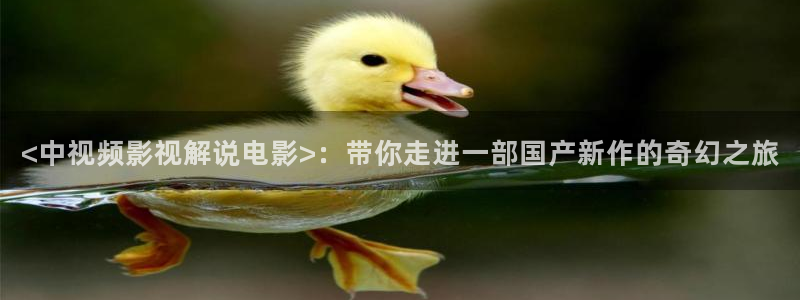 人人影院1024