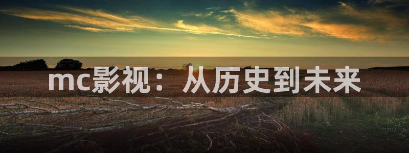 人人影院dvd
