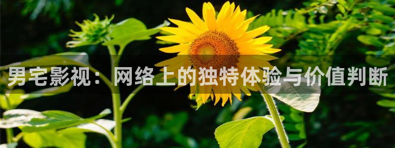人人影视
