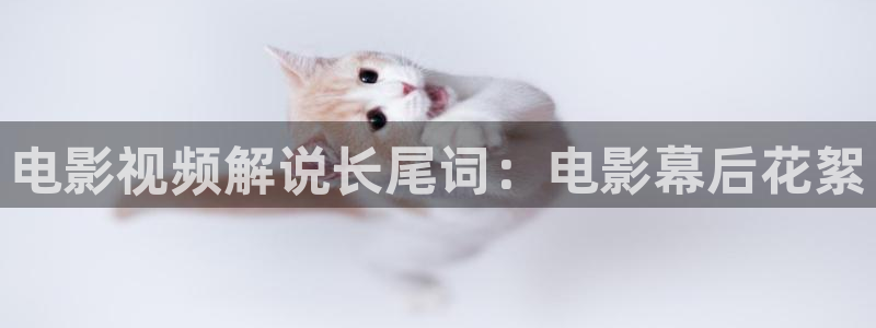 人人影视app免费观看
