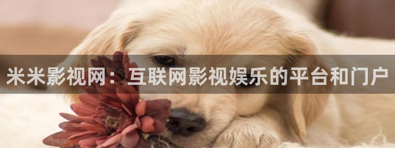 人人人影院