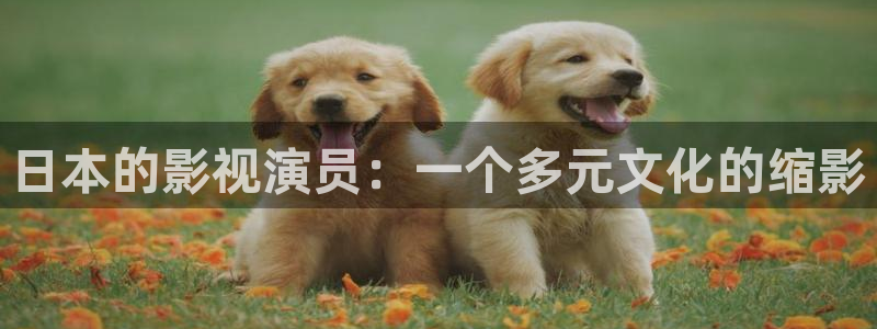 人人视频电视版