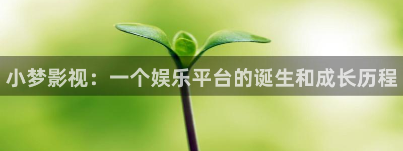 人人影视app