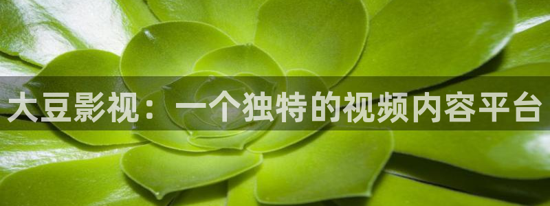 人人影院免费观看电视剧全集