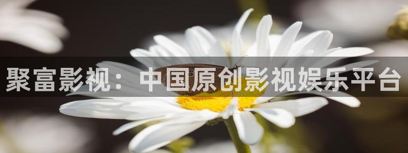 人人影院网