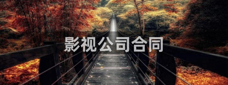 人人影音