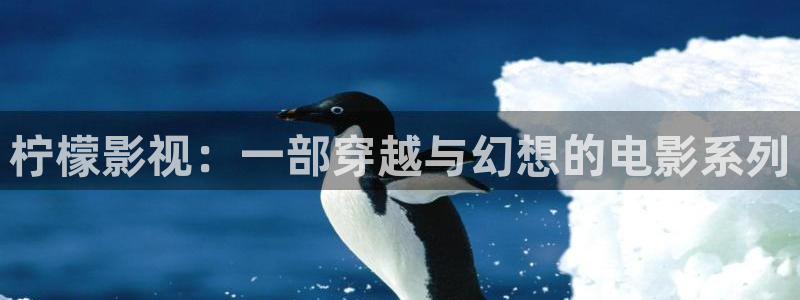 人人视频网页