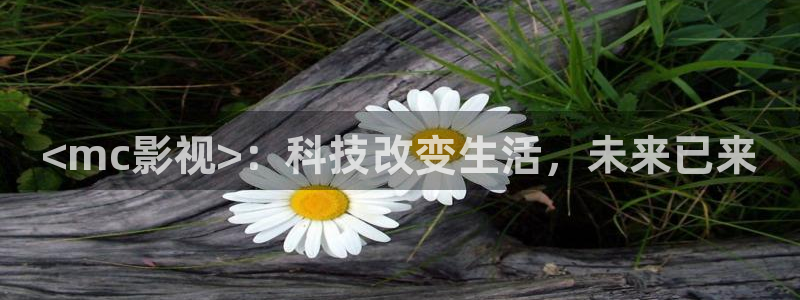 人人影视app下载
