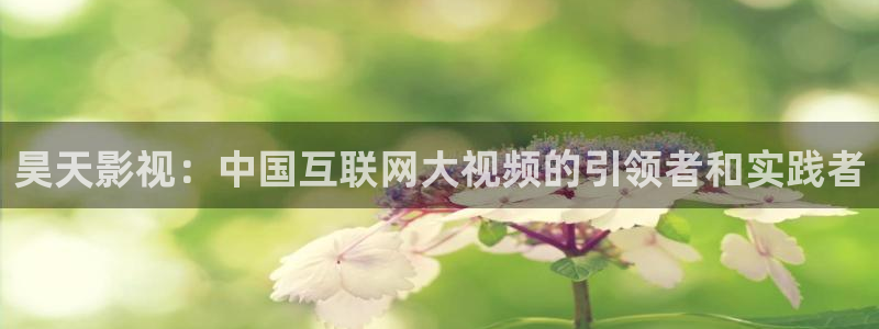 人人影视app下载