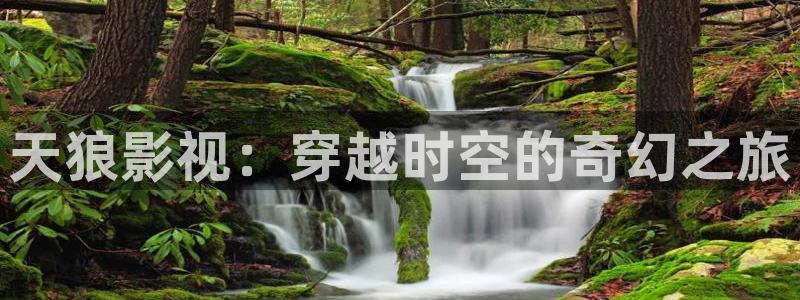 人人影视app下载官网
