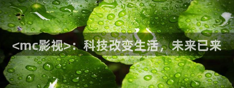 人人视频网页