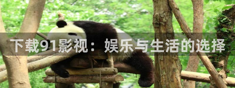 人人视频在线
