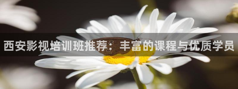 人人影视app下载官网