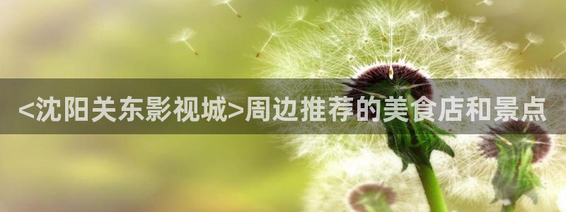 人人影视