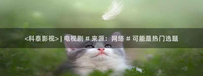 97人人影院：<科泰影视> | 电视剧 # 来源：网络 # 可能是热门选题