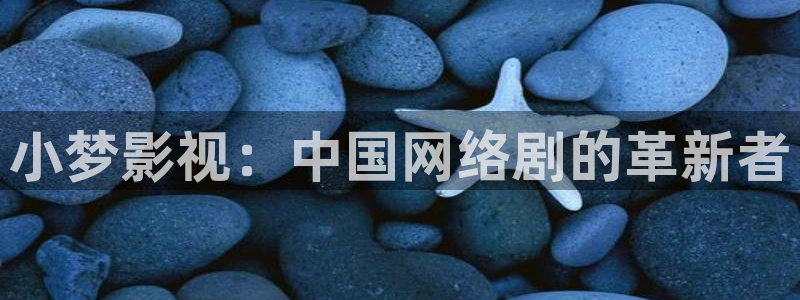 人人影院影院：小梦影视：中国网络剧的革新者