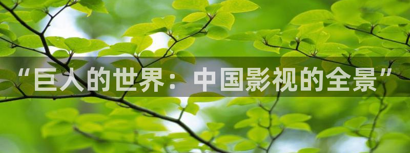 人人视频app