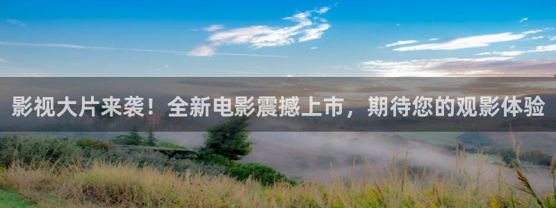 以爱为营人人影院
