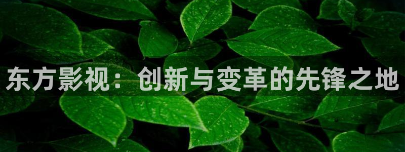 91人人影院
