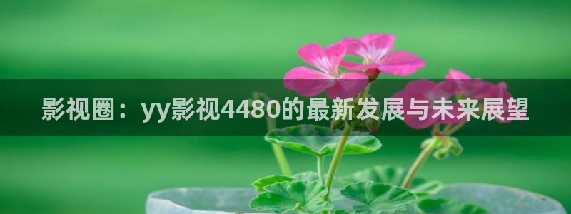 人人影视在线观看