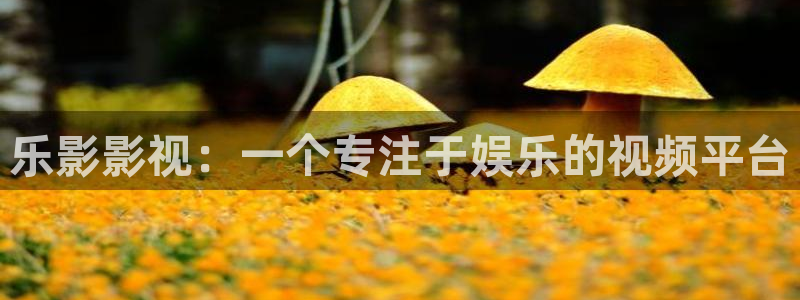 新人人影院