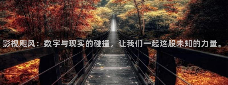 人人视频在线