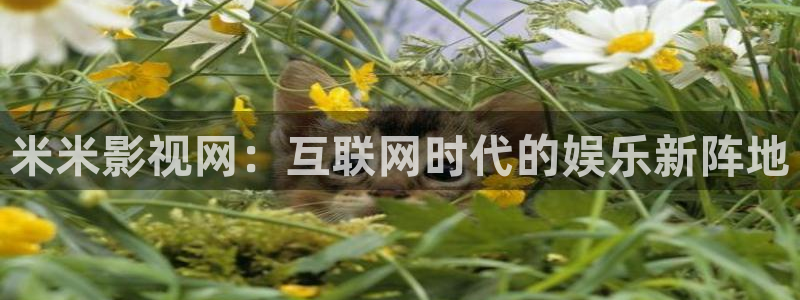 人人影院伦理