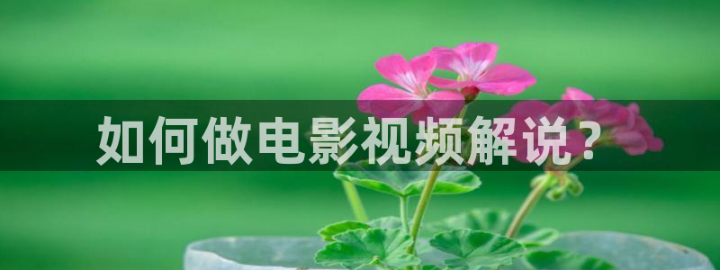 人人影院dvd